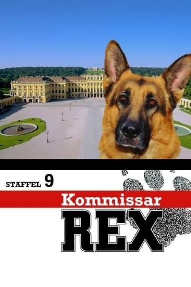 Temporada 9