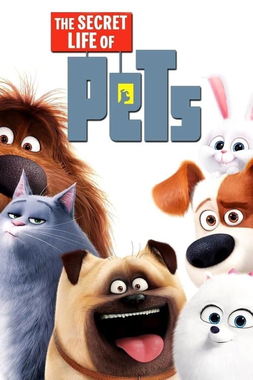Mascotas