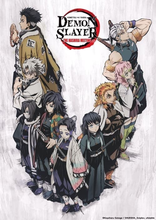 Demon Slayer: Kimetsu no Yaiba: The Hashira Meeting Arc